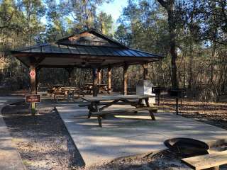 Peaceful Camping in the Woods