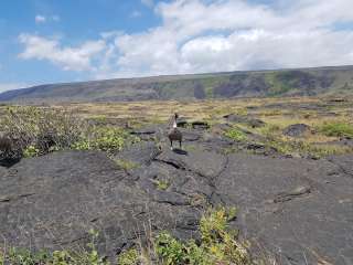 Keauhou Backcountry Campsite — Hawai'i Volcanoes National Park