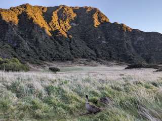 Paliku Backcountry Campsite — Haleakalā National Park