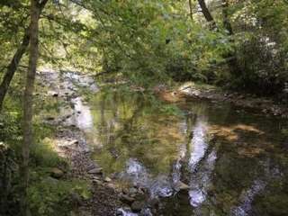 North Mills River