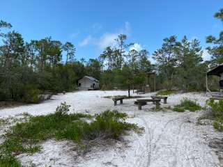 Outpost Campsites — Gulf State Park