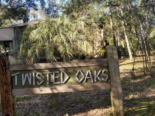 Twisted Oaks