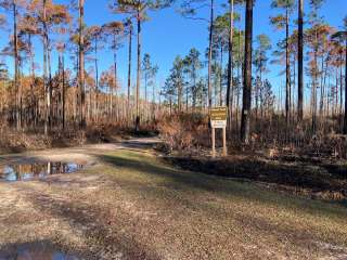 Twin Poles NF Hunt Camp