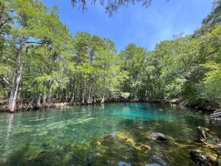 Manatee Springs State Park