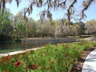 Salt Springs Recreation Area