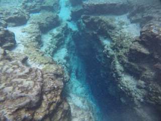 Ginnie Springs Outdoors