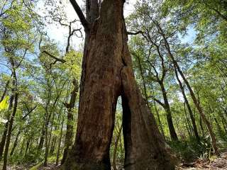 O'leno State Park