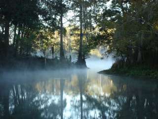 Fanning Springs State Park