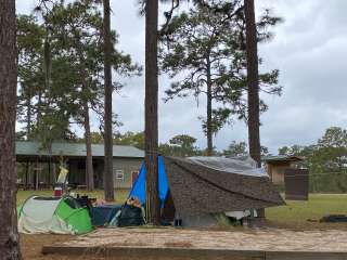 Welaka State Forest