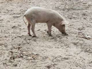 Campos Family Farm