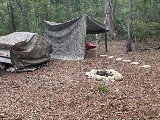 The ice cream bean fruit camp 