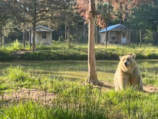 Grizzly Ranch 