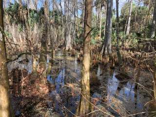 Silver Springs State Park