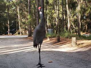 Moss Park Campground