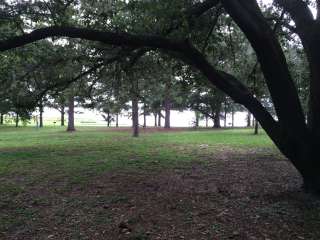 Bill Frederick Park at Turkey Lake