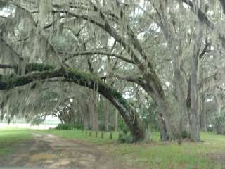 Hopkins Prairie Campground