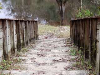 Withlacoochee SF/Croom Tract - Crooked River - Silver Lake Rec