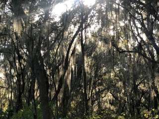 Tillis Hill  Recreation Area - Withlacoochee State Forest