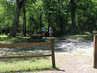 River Junction Campground - Withlacoochee State Forest