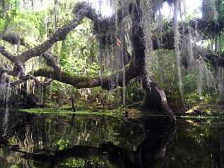 Hontoon Island State Park