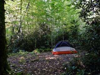 Site 40 — Great Smoky Mountains National Park