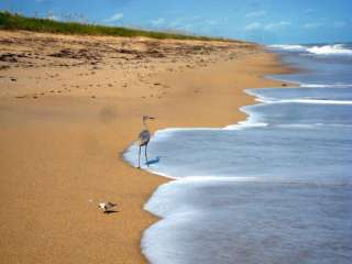 Canaveral National Seashore