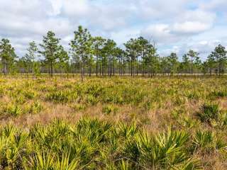 Hal Scott Preserve County Park