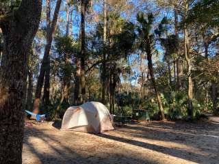 Juniper Springs Rec Area - Sandpine