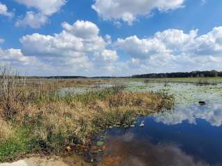 Pasco County - Crews Lake Wilderness Park