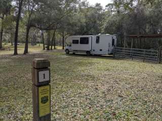 Bearhead Hammock Primitive Campsites