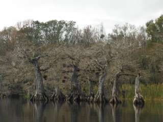 Lake Norris Conservation Area