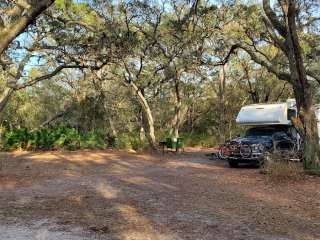 Bennett Field Campground - Tiger Bay State Forest