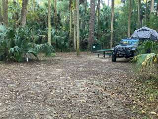 Juniper Springs Rec Area - Fern Hammock Springs