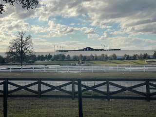 Copper Pony Farm