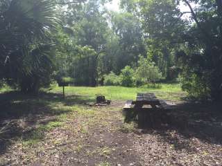 Seminole State Forest - Moccasin Camp