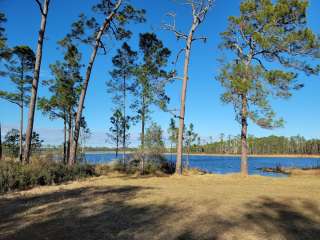 Ocala National Forest Farles Prairie Recreation Area