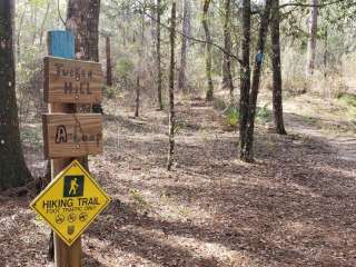 Croom B Loop Primitive Site