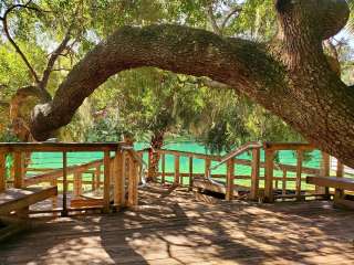 Volusia County Park Gemini Springs Campground