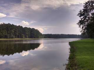 Bienville National Forest Marathon Lake