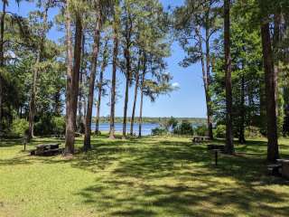 Ocala National Forest Lake Dorr Campground