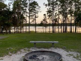 Ocala National Forest Doe Lake Recreation Area