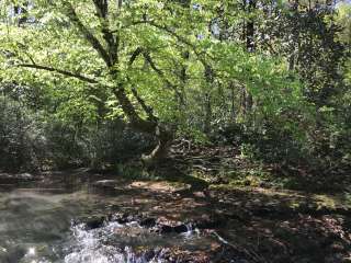 Coheelee Creek Park