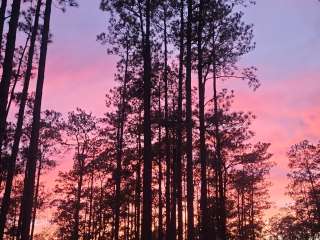 Blackwater River Boat Ramp Camp