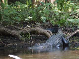 Hillsborough River State Park