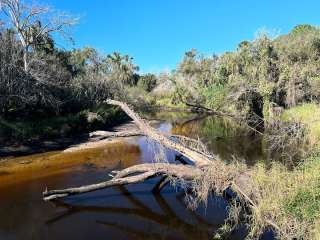 Little Manatee River State Park