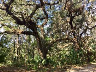 Alafia River State Park