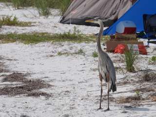 Shell Key Preserve