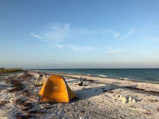 Anclote Key Preserve State Park