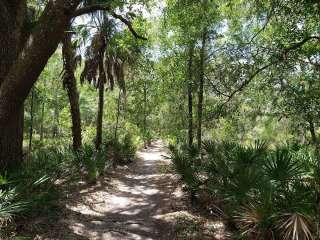 Lower Hillsborough Wilderness Preserve