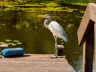 Buttonwood Bay RV Resort, A Sun RV Resort